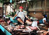 Foto: Women of the Tribe and Search of Freshwater Dolphins in Borneo